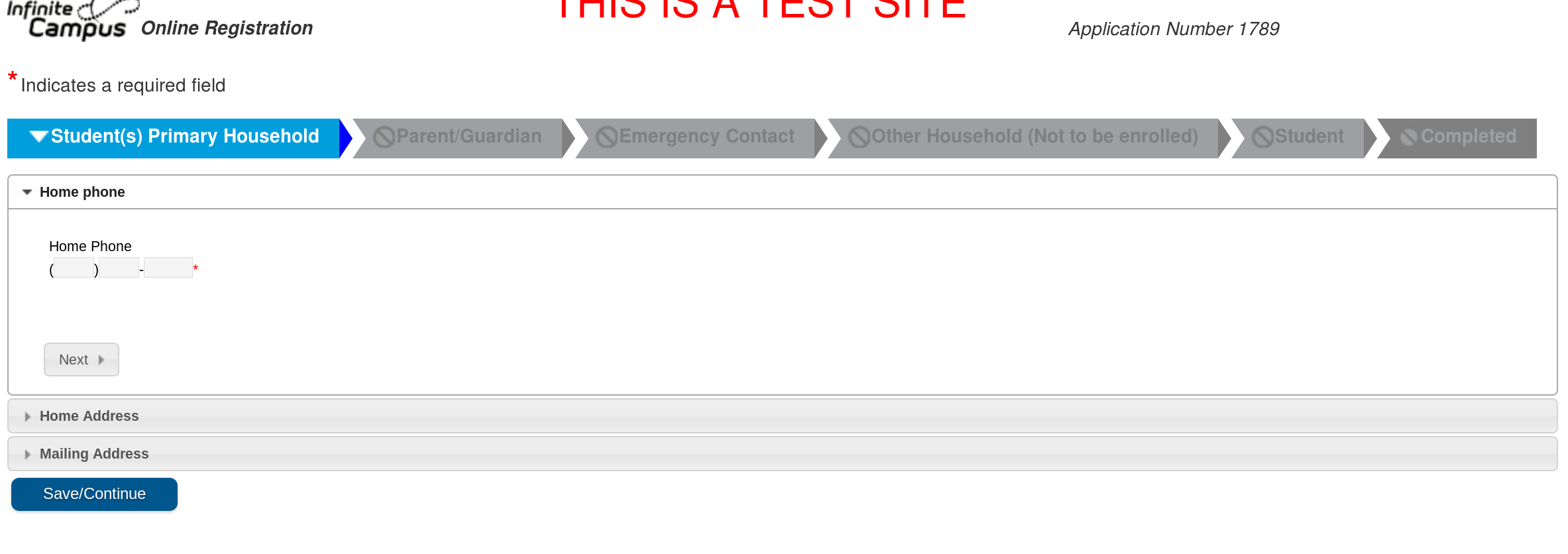 Main Online Registration Window